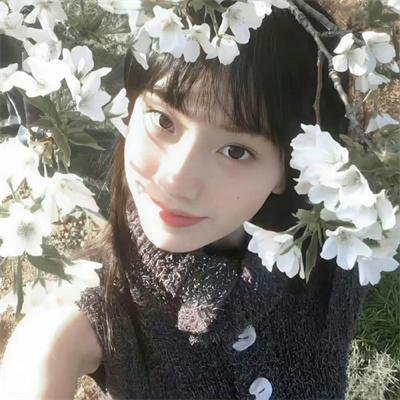 身家调查